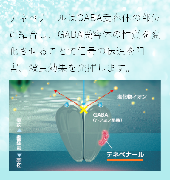 テネベナールはGABA受容体の部位に結合し、GABA受容体の性質を変化させることで信号の伝達を阻害し、殺虫効果を発揮します。